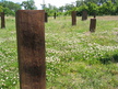 Den etiopiske kirkegård